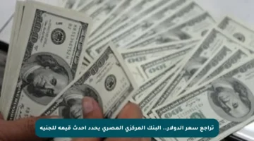 تراجع سعر الدولار.. البنك المركزى المصرى يحدد أحدث قيمة للجنيه